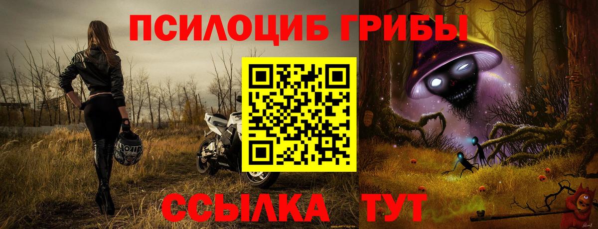 Галлюциногенные грибы Psilocybe Сертолово