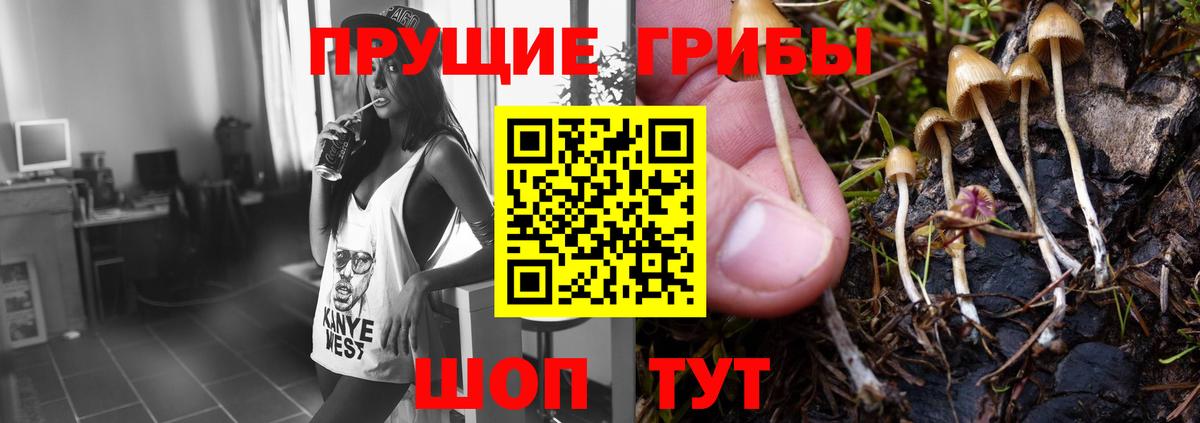 Cocaine  Вход с VPN  МЕФ кристаллы  Лсд 25  Сертолово  Alpha-PVP СК кристаллы  Конопля 