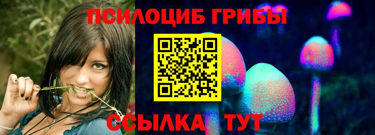 Галлюциногенные грибы ЛСД  Псилоцибиновые грибы Psilocybine cubensis  Сертолово  Вход с VPN 